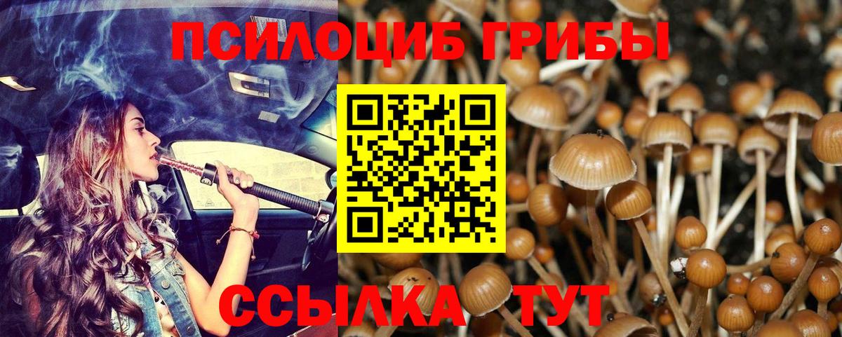 Галлюциногенные грибы мухоморы Миасс
