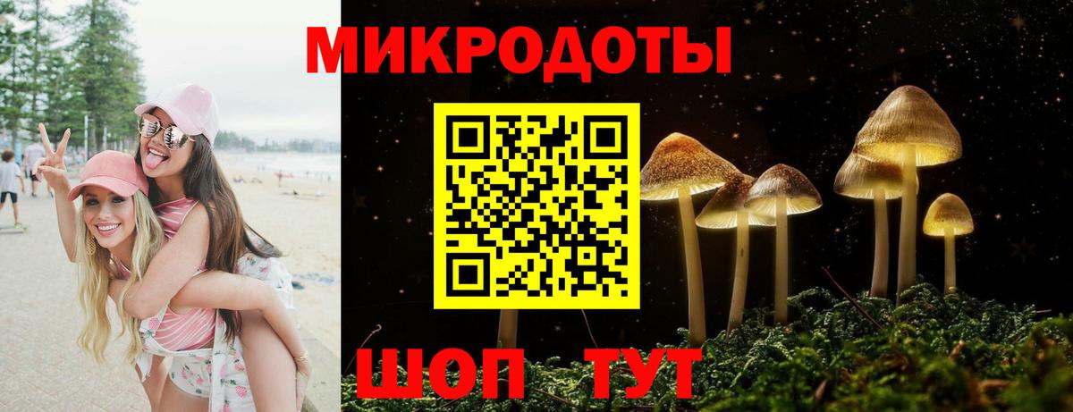 Миасс  Галлюциногенные грибы Cubensis  Вход с VPN 